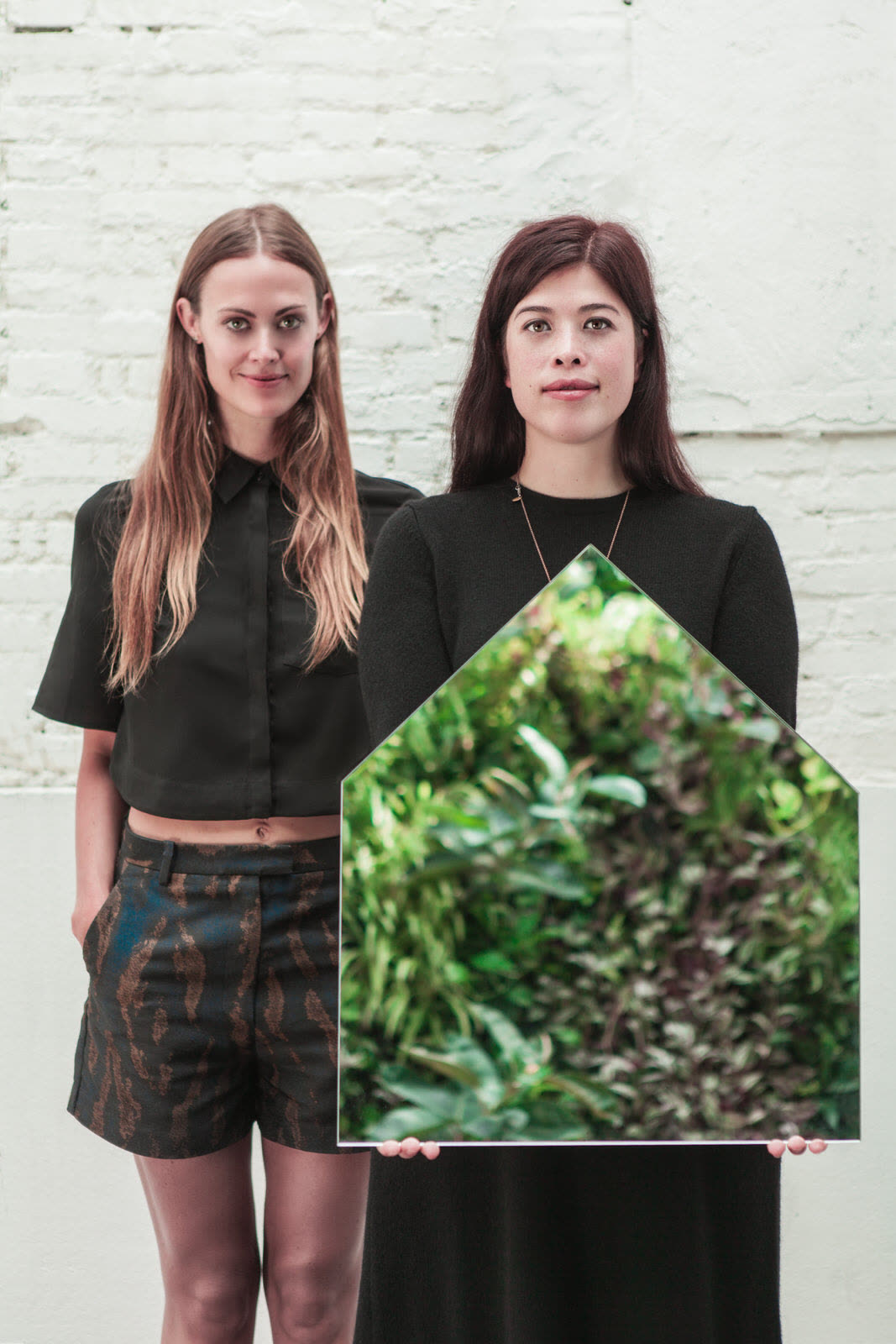 FRAME Publication