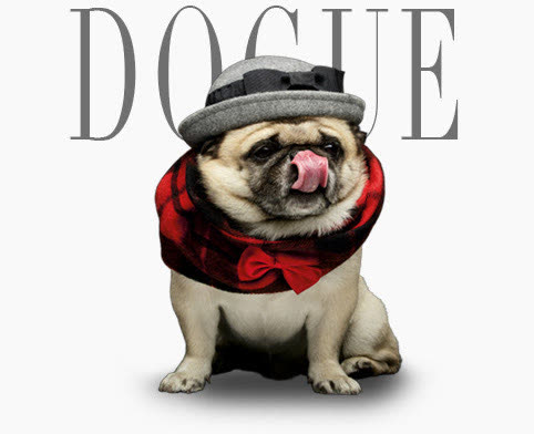GLAMDOG