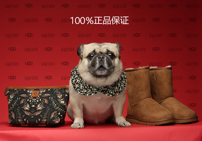 GLAMDOG