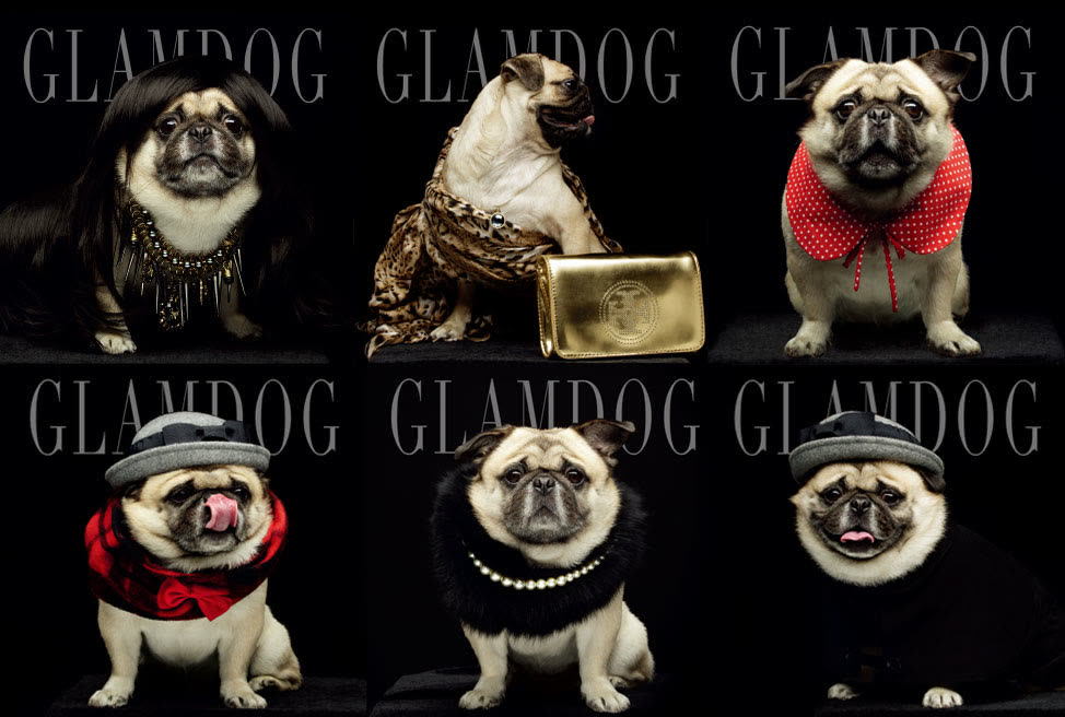 GLAMDOG