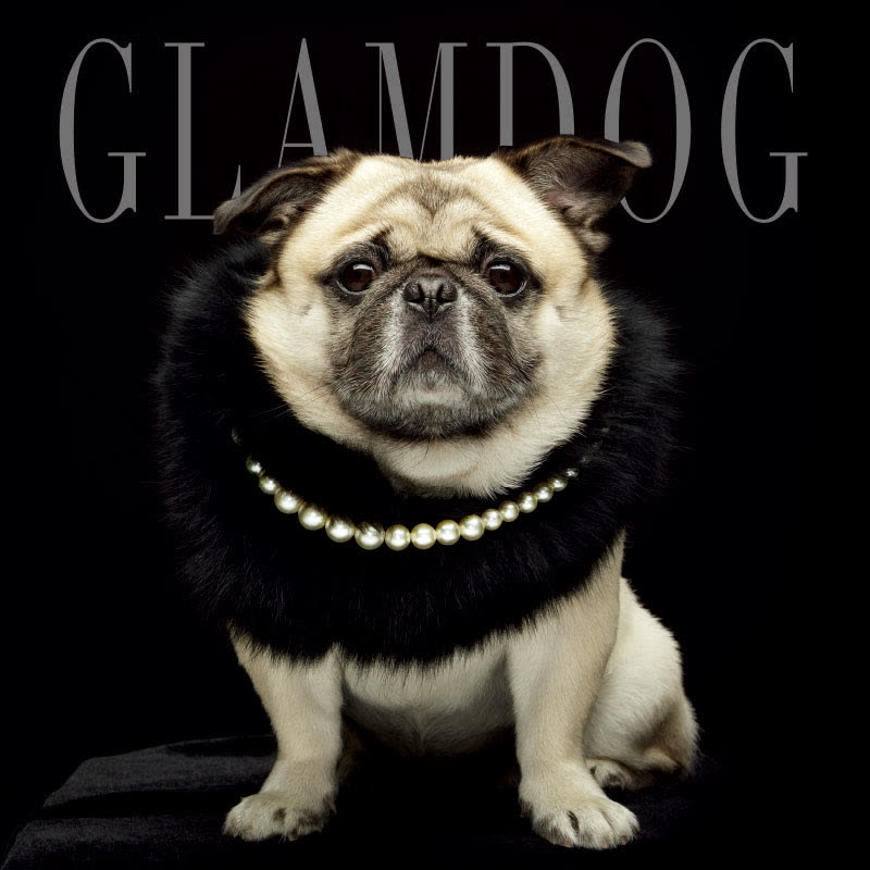 GLAMDOG
