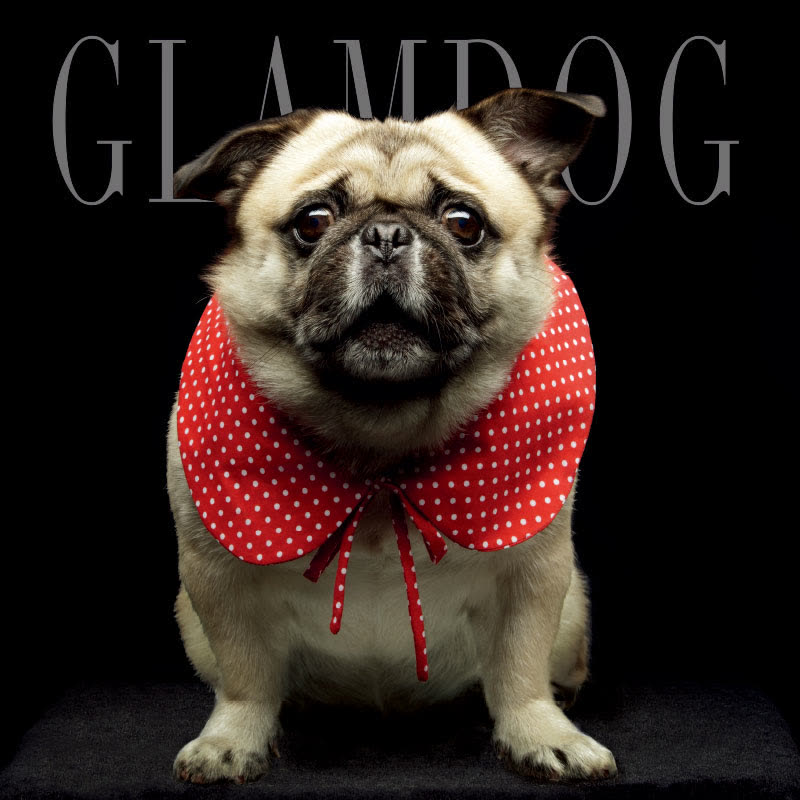 GLAMDOG