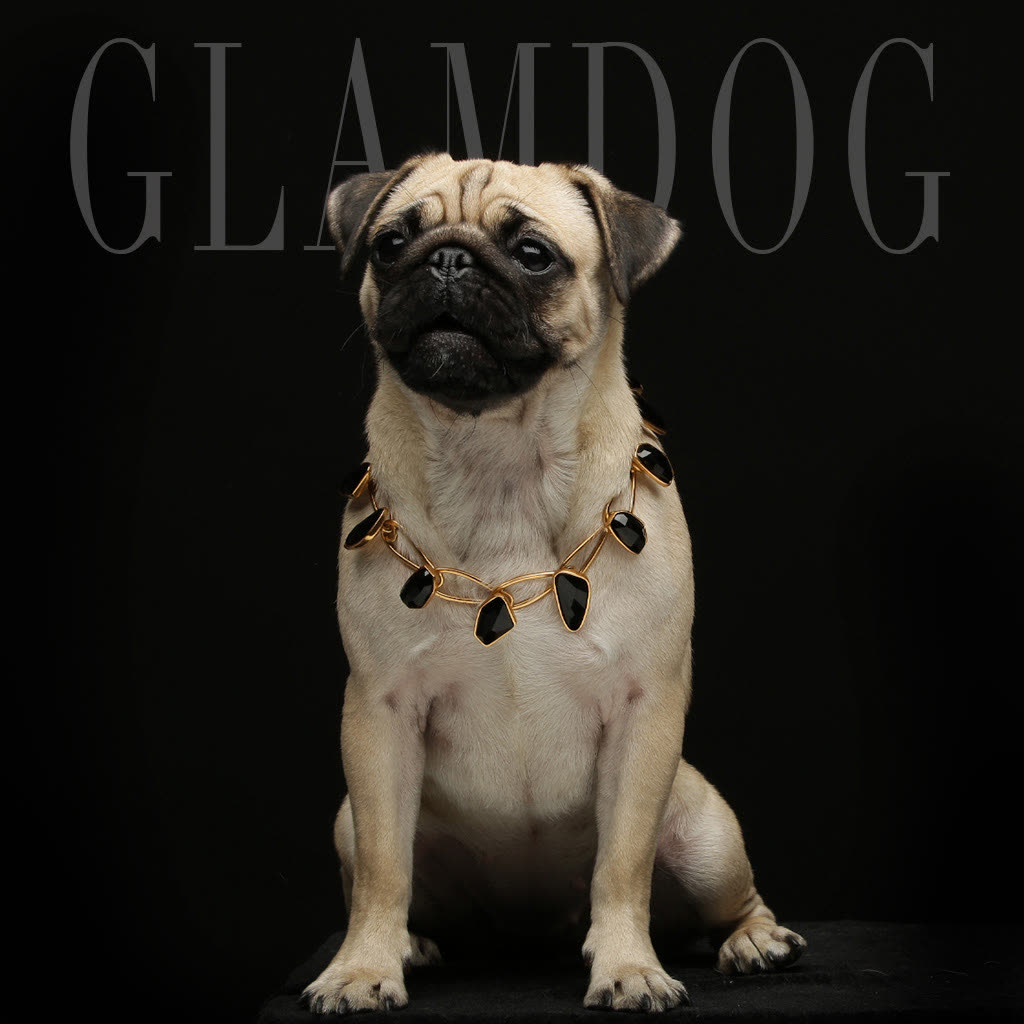 GLAMDOG