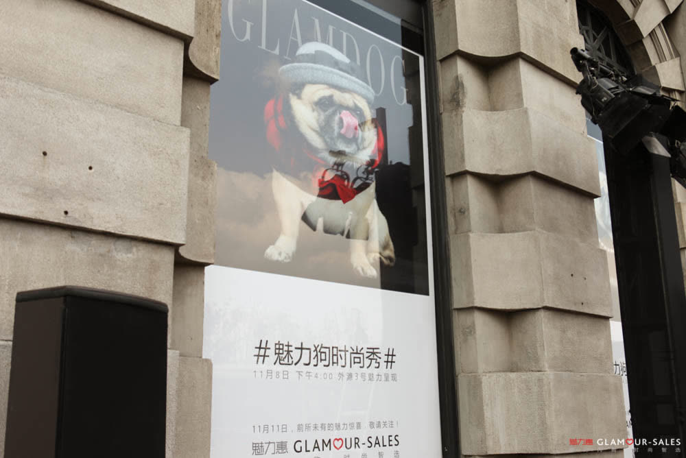GLAMDOG