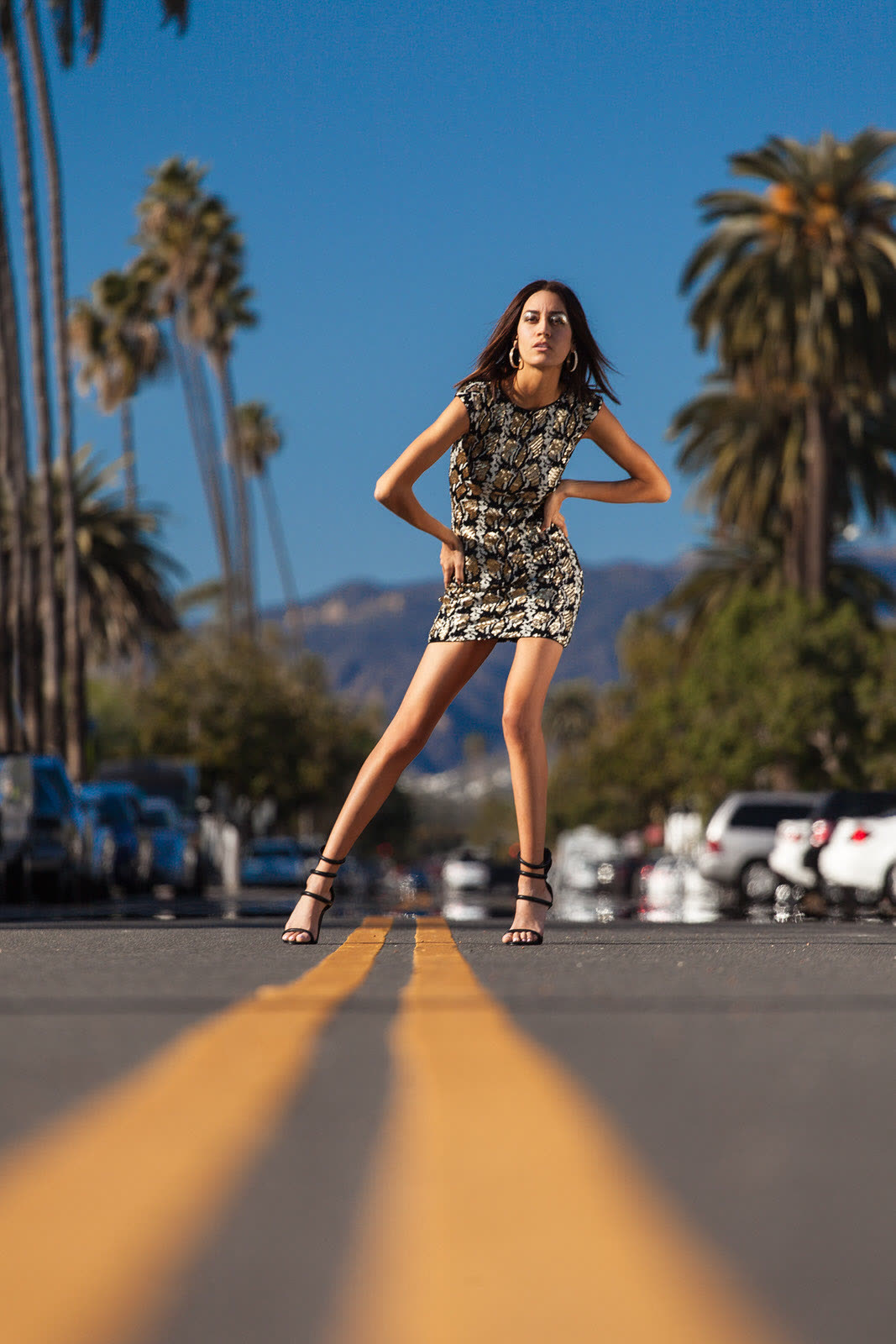 Hollywood Shine